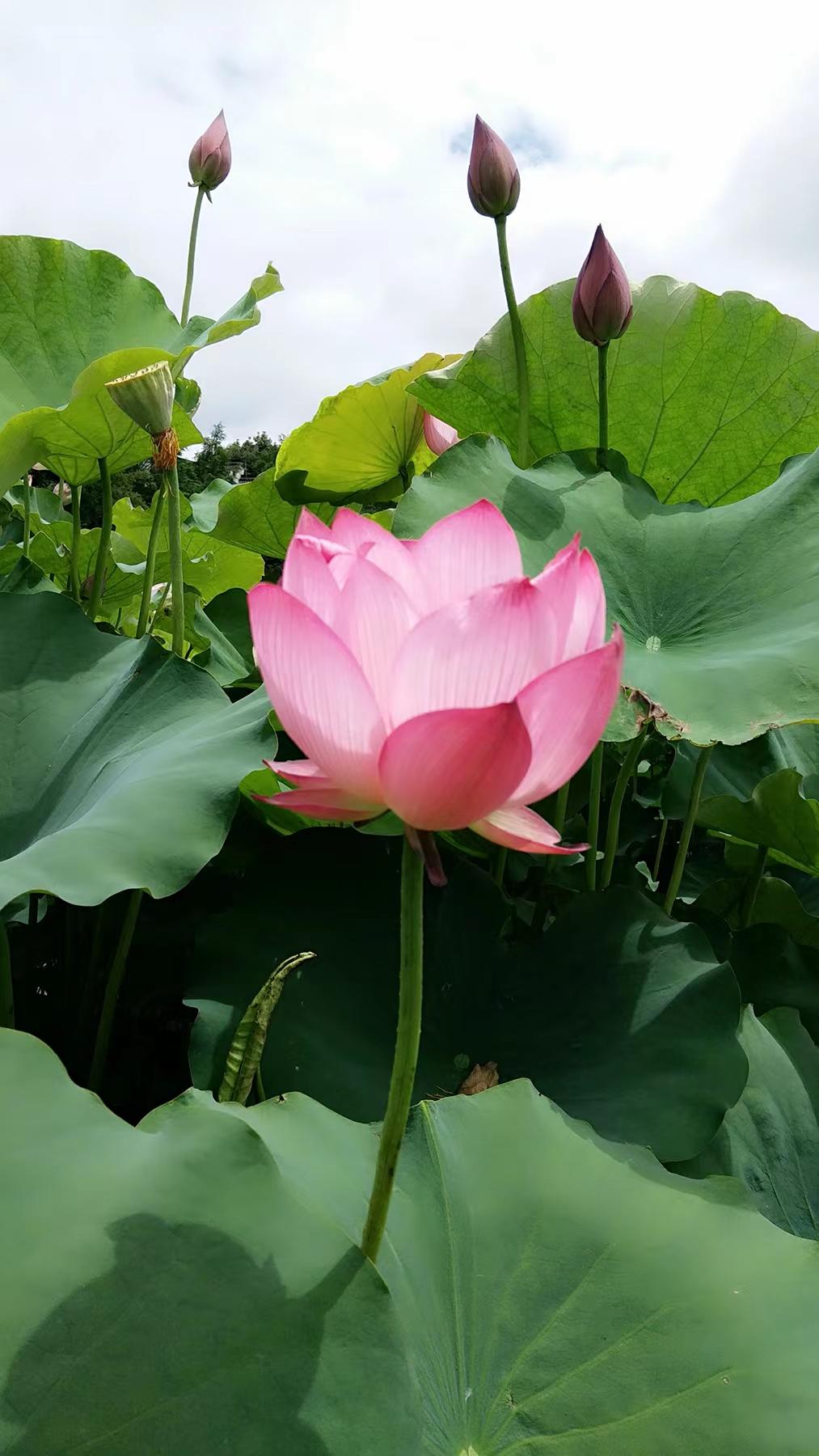 http://www.cdqidasheng.com/hsdt/221.html